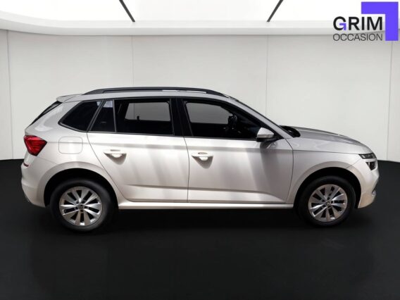 skoda kamiq tsi ch bvm business