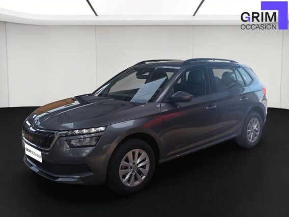 skoda kamiq tsi evo ch dsg business